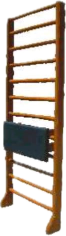 Wall Bar System